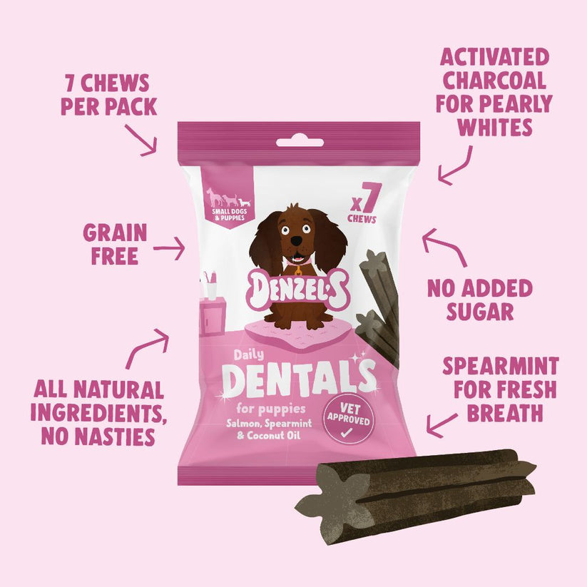 Activated charcoal outlet dog treats recipe