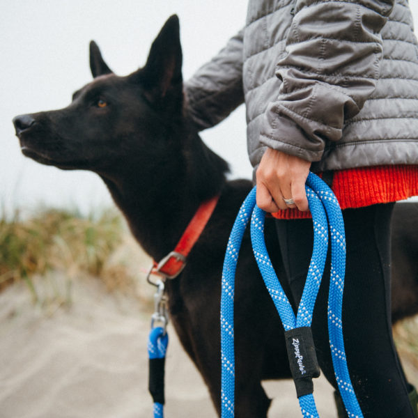 Mountain leash 2025