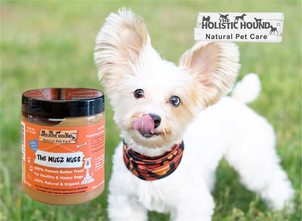 Mutz nutz hot sale petcare