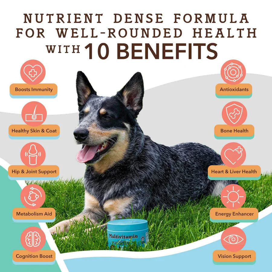 Natural Dog Company Multivitamin Dog Supplement