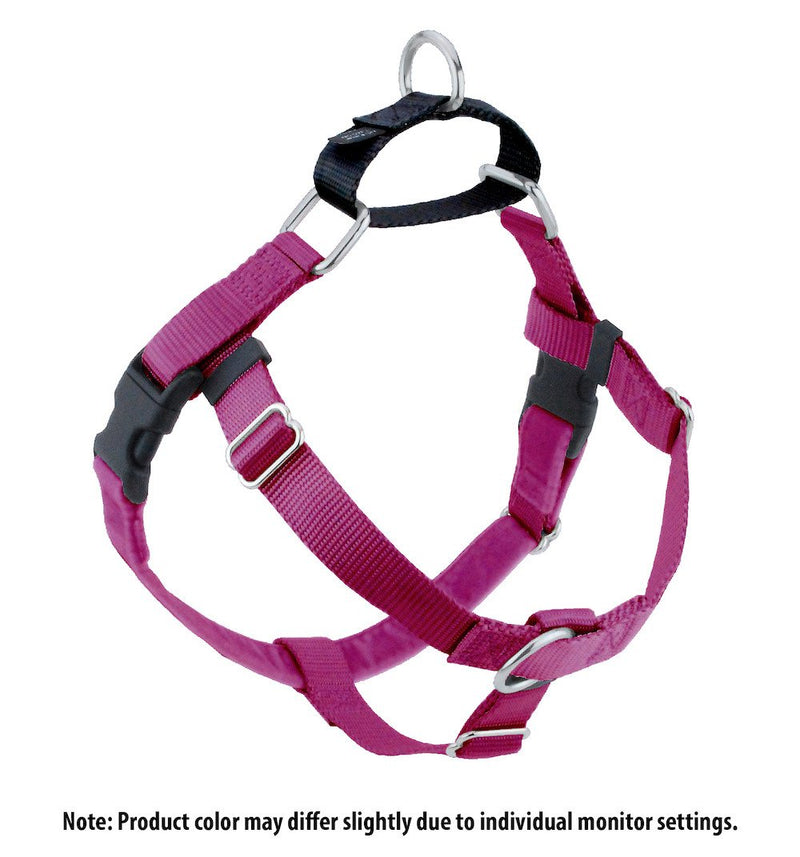 Miniature dog outlet harness