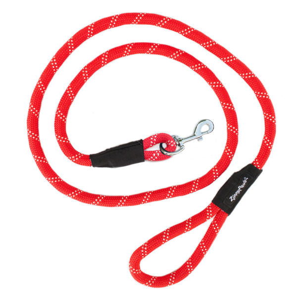 Mountain climbing 2024 dog leash